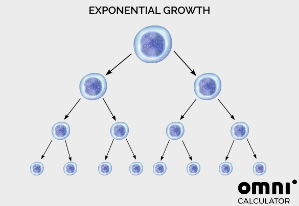 Exponential growth of cells. Each cell devides into two.