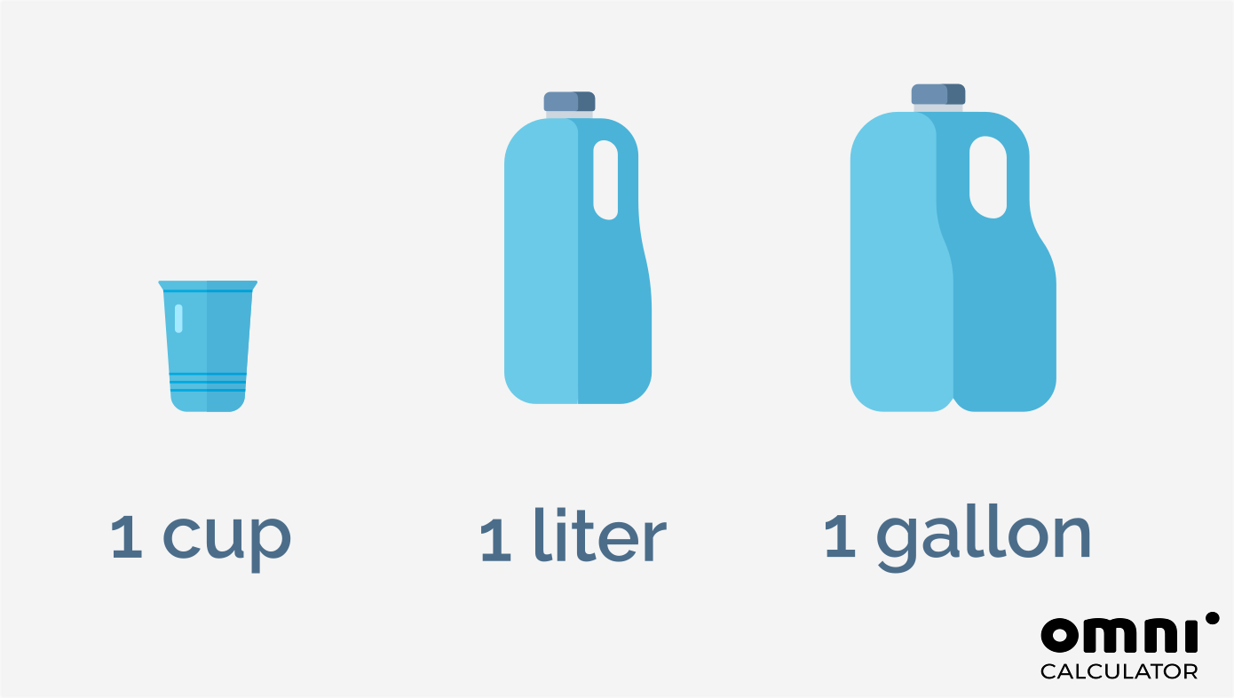 A comparison of 1 cup, 1 liter, and 1 gallon