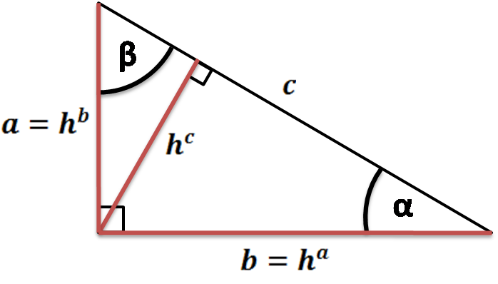 Right triangle with its heights