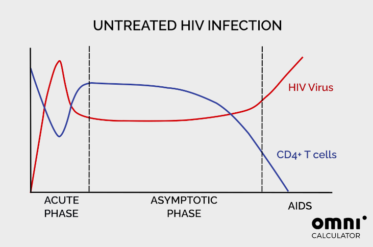 a chart showing how HIV virus and CD4+ lymphocytes vary over time if HIV infection is untreated