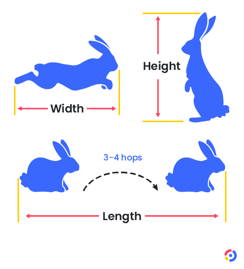 Taking measurements of a rabbit to design a custom cage.