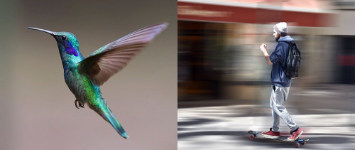 Image of different creative shots at fast shutter speeds.